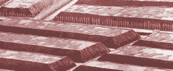peste-striscia-250-aaa